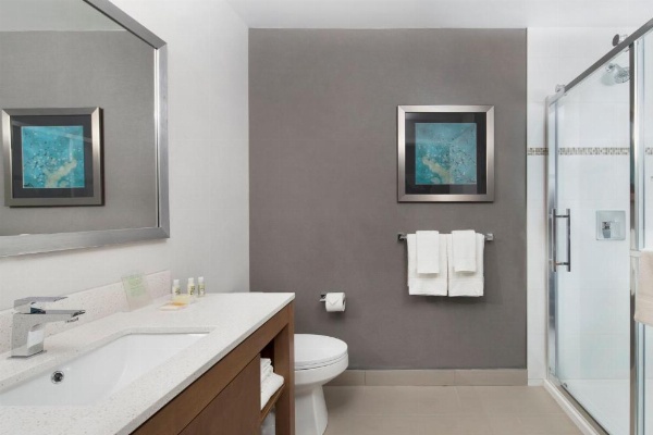 Holiday Inn Hotel & Suites Montreal Centre-ville Ouest image 25